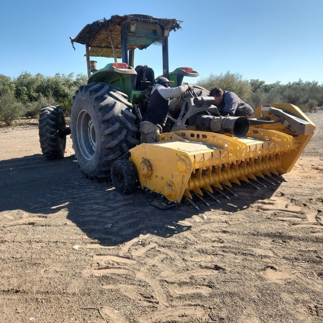 Equipo ORSI trabajando en el campo